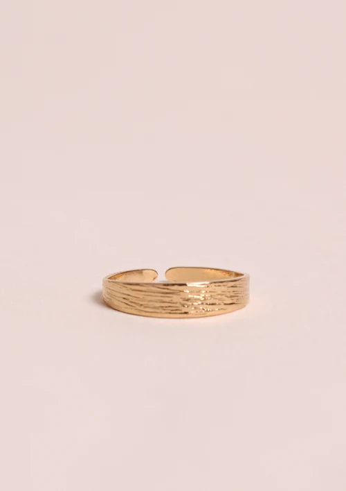 Dana ring small